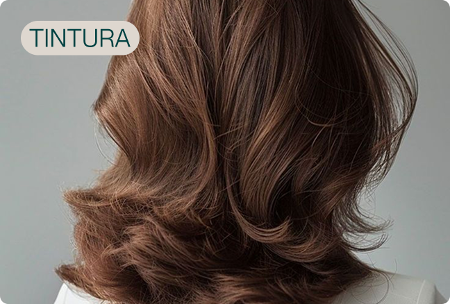 Servicio tintura
