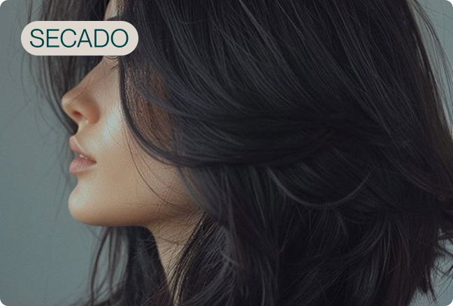 Servicio secado