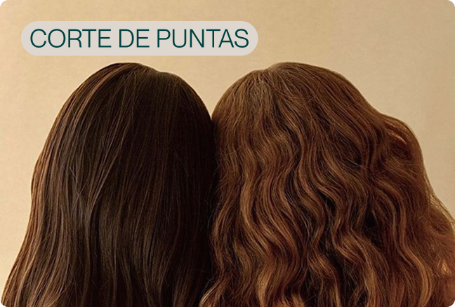 Servicio corte de puntas